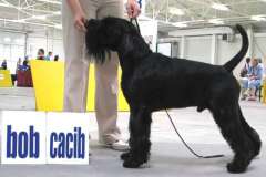 1374761222_lucky_13
