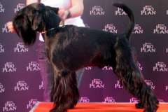 1374761271_lucky_18