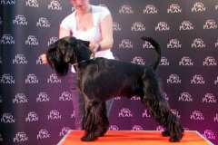 1374761271_lucky_19