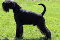 1374761332_lucky_21
