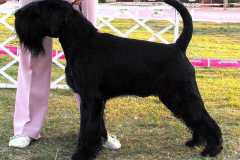 1374761435_lucky_28