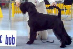 1375366225_lucky_bratislava_2007_01