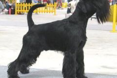 1375366225_lucky_bratislava_2008_01