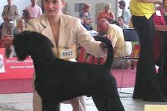 1375443403_lucky_eds_zagreb_2007_01