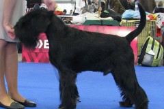 1416475393_lucky-euro-2014-01