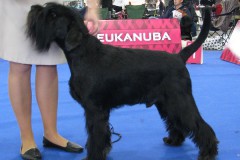 1416475393_lucky-euro-2014-02