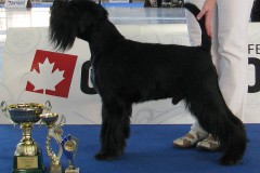 1424021106_lucky-rbis-veteran-brno2015-02